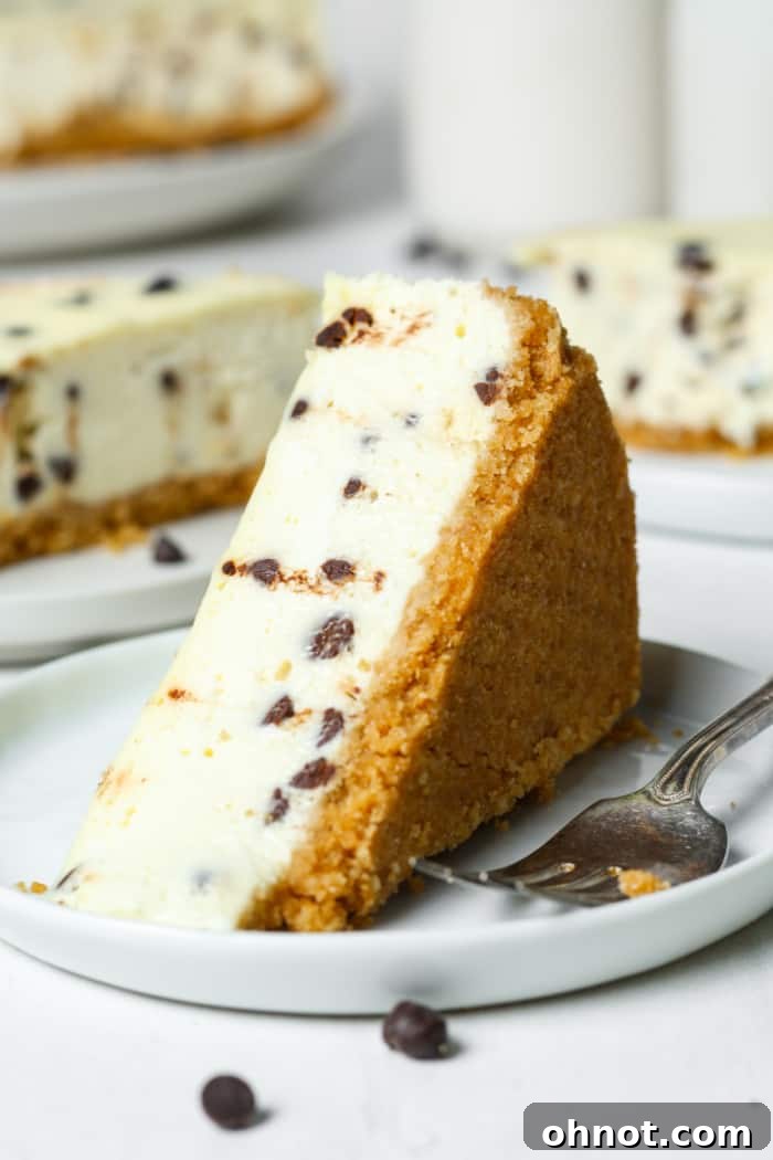 A beautifully baked chocolate chip cheesecake, golden brown and perfectly smooth, ready to be sliced.