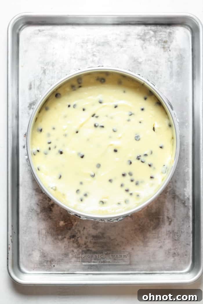 A freshly baked chocolate chip cheesecake, still in the springform pan, cooling on a wire rack.