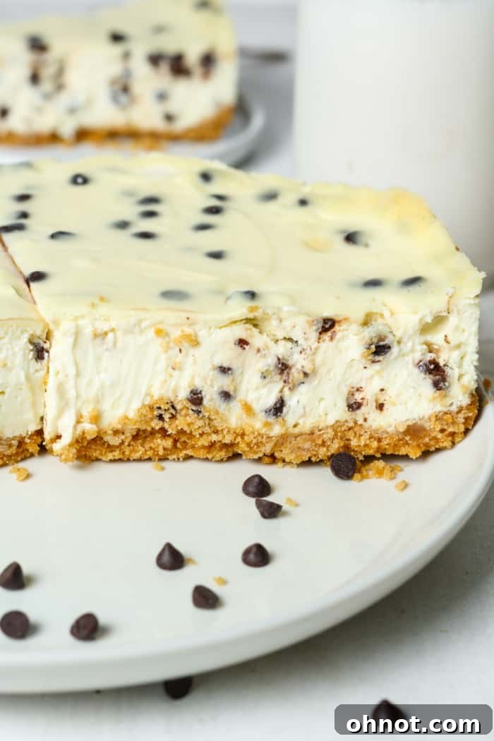 A perfectly cut slice of chocolate chip cheesecake on a white plate, showing its creamy texture and chocolate chips.