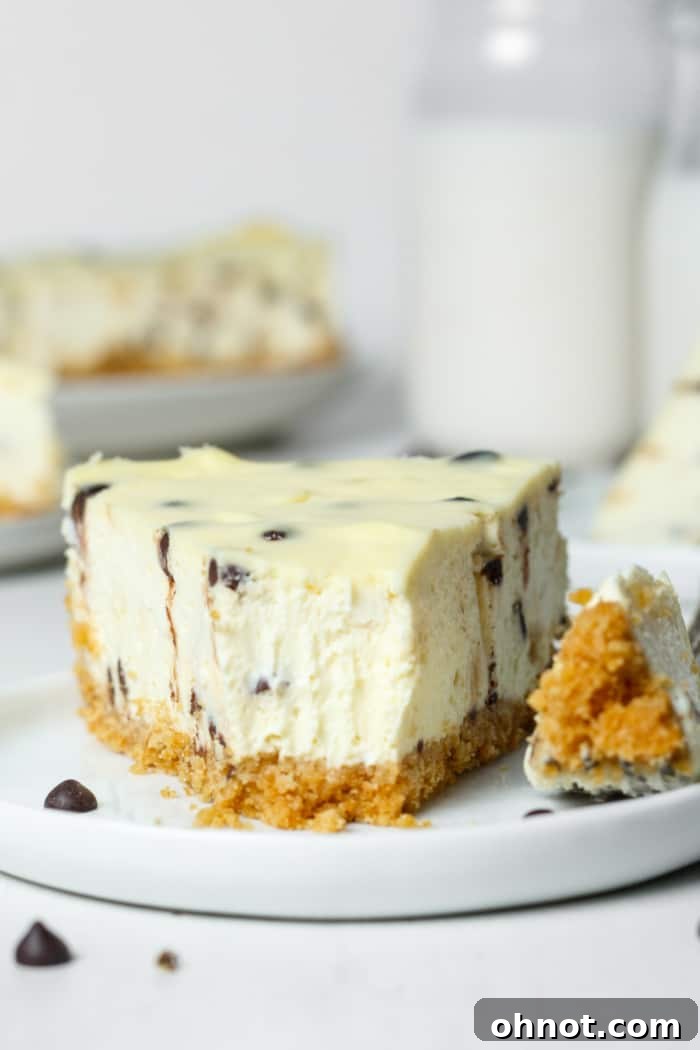 A slice of chocolate chip cheesecake on a white plate, garnished with a dollop of whipped cream and a chocolate drizzle.