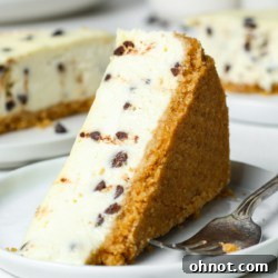 Chocolate chip cheesecake