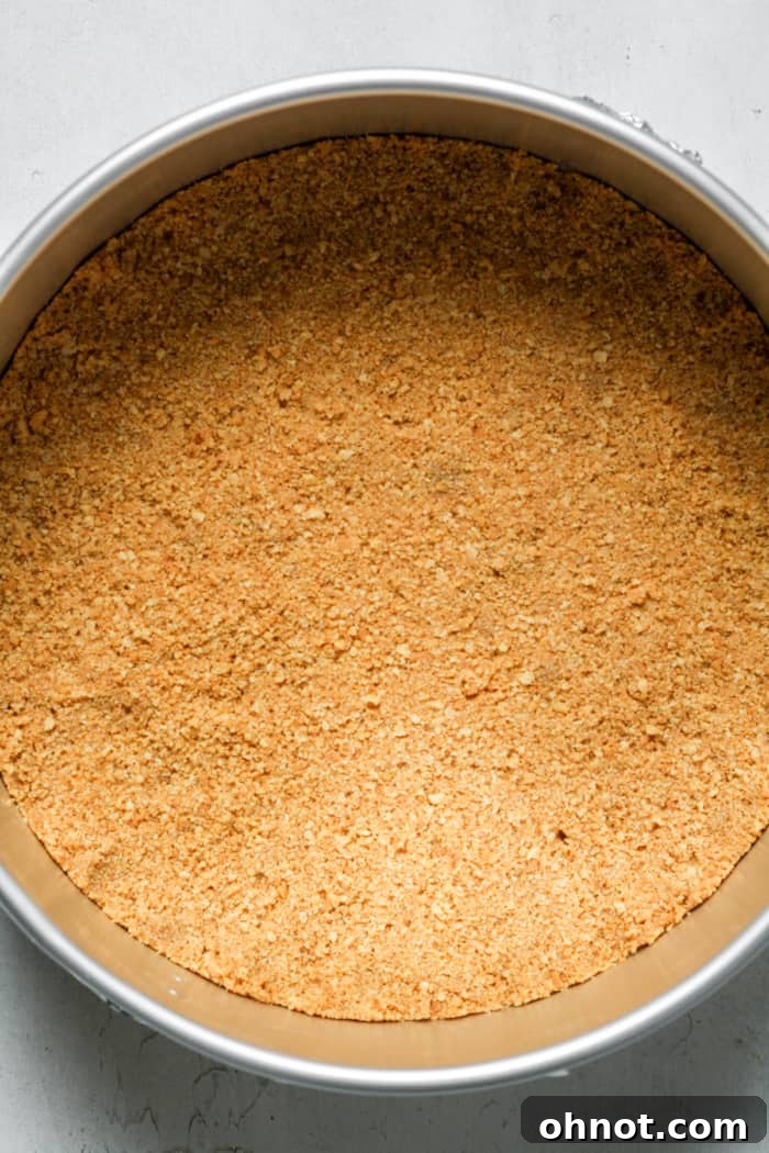 A perfectly baked cheesecake crust resting in a springform pan.