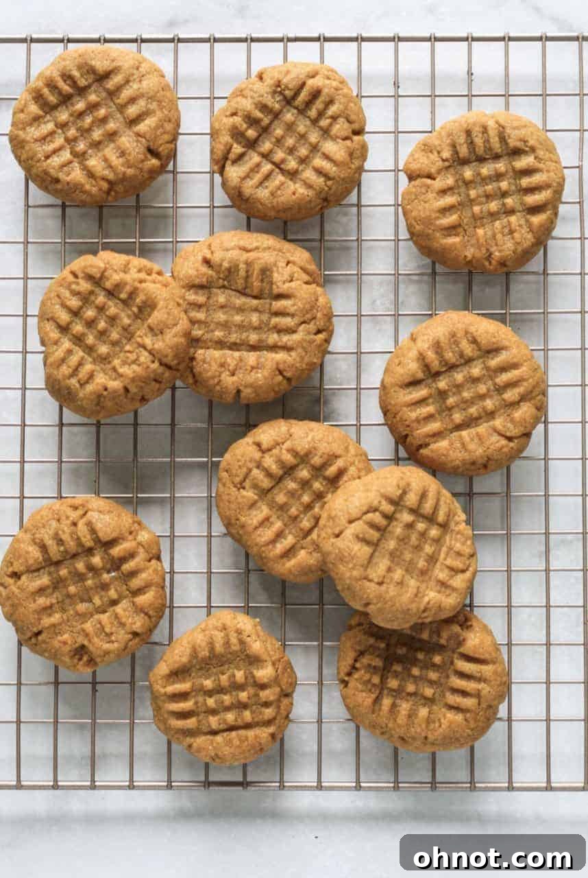 Delicious freshly baked 3-ingredient paleo cookies on a cooling rack, showcasing their golden-brown edges and soft centers.