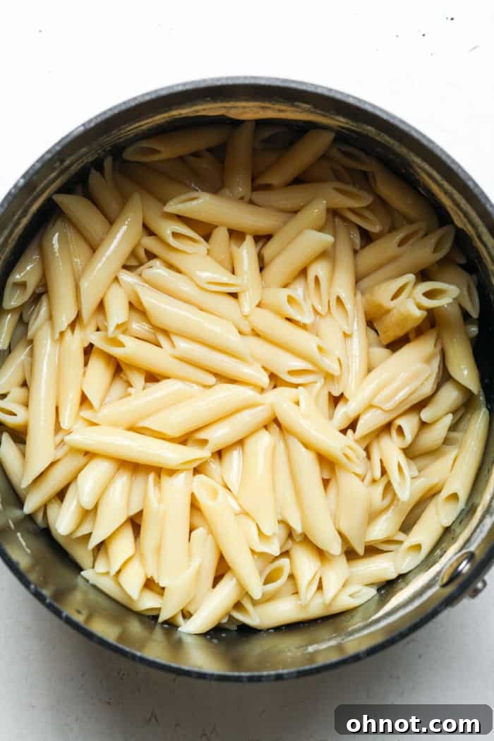 Cooked penne pasta in pot