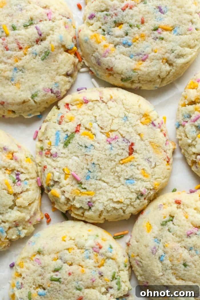 Vibrant sugar cookies with colorful sprinkles displayed on a cooling rack, ready to be enjoyed.