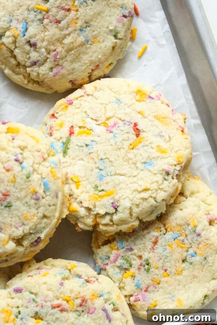 Freshly baked sugar cookies with sprinkles, showing lightly golden edges, cooling on a baking sheet.