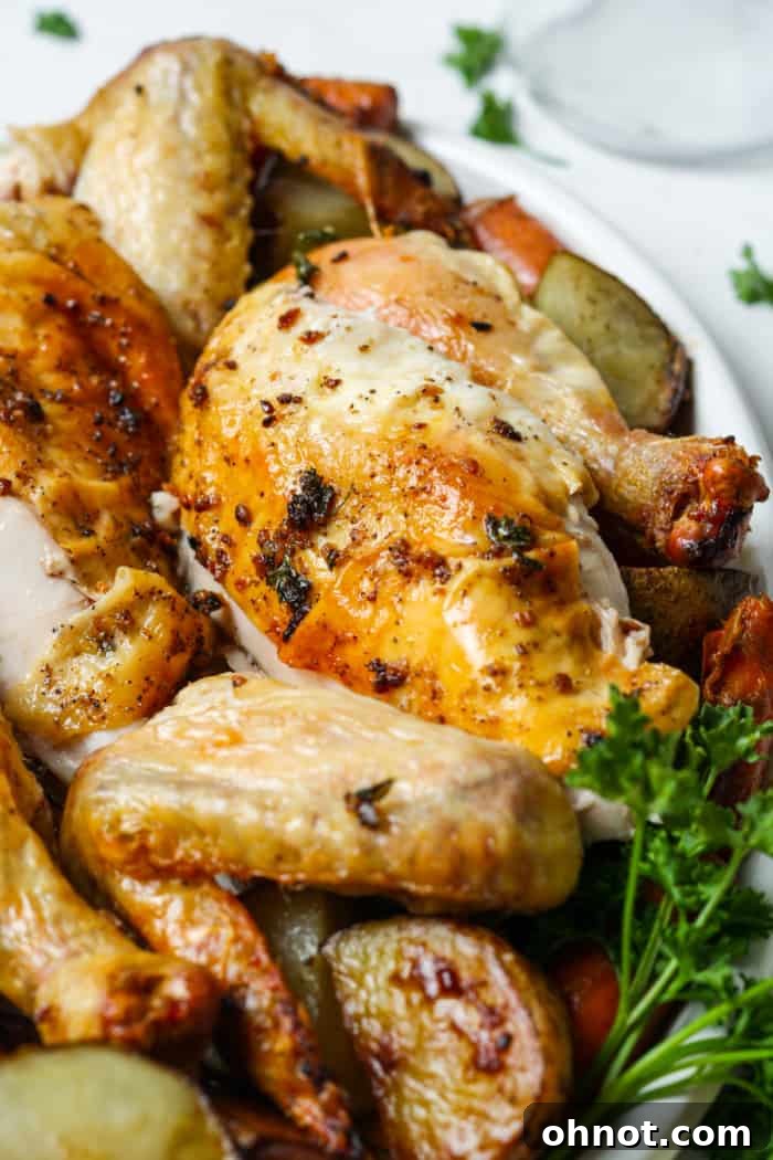 Close-up of juicy carved chicken meat on a plate