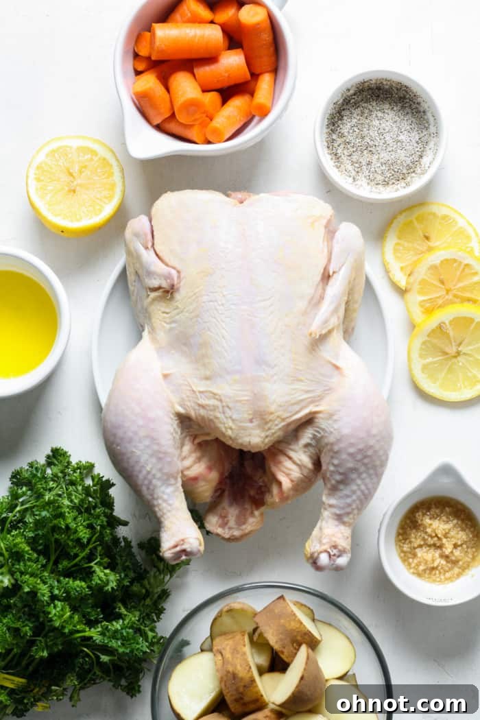 Whole seasoned chicken resting on a bed of chopped vegetables in a Dutch oven
