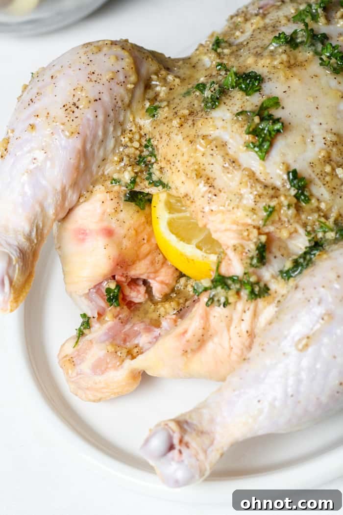 Lemon half placed inside the cavity of a whole raw chicken