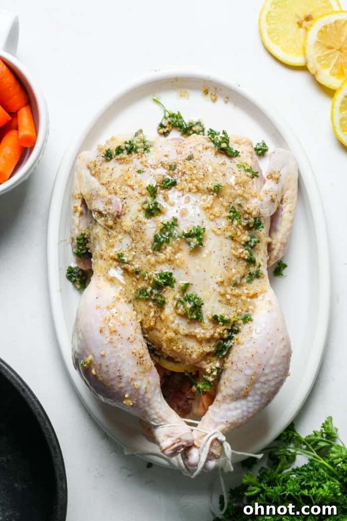 Trussed whole chicken seasoned with garlic butter and tied legs