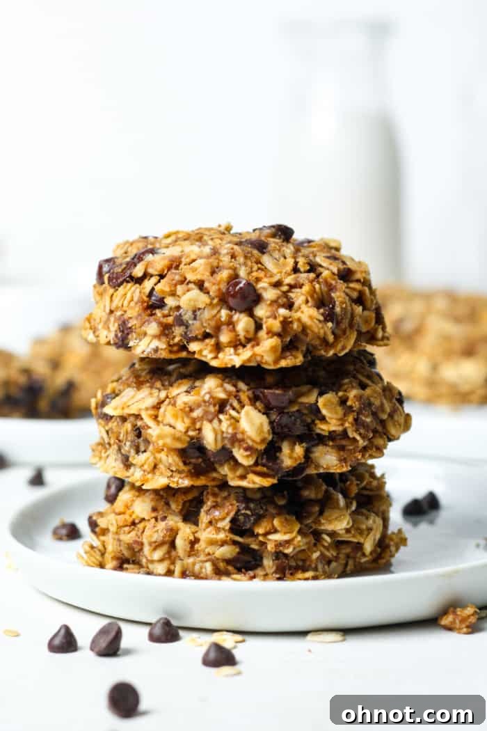 Close-up of golden brown 4 ingredient cookies with chocolate chips on a baking sheet, ready to be enjoyed.