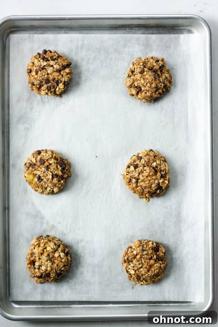 Freshly baked 4 ingredient cookies with chocolate chips on a baking pan, golden and ready.