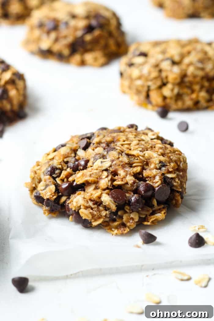A plate of healthy breakfast cookies, perfect for a nutritious start to the day.
