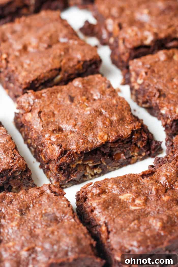 Healthy and fudgy lactation brownies, a delightful and supportive snack for new mothers.