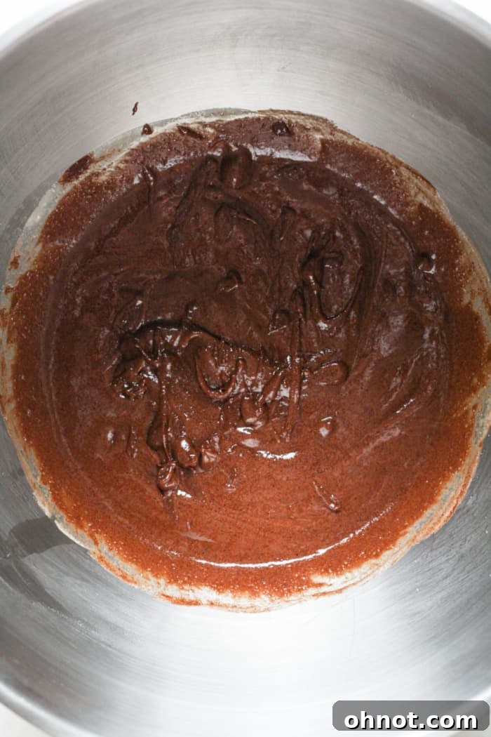 Thick, glossy chocolate batter after combining melted chocolate with the egg and sugar mixture.