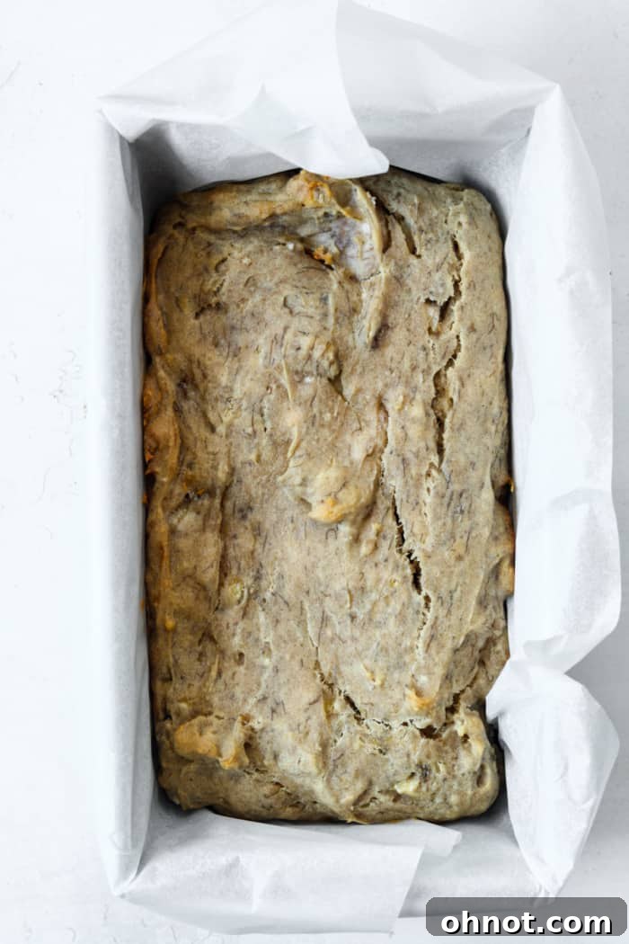 Baked banana bread in pan. A golden-brown, freshly baked loaf of sugar-free banana bread cooling in its parchment-lined pan.