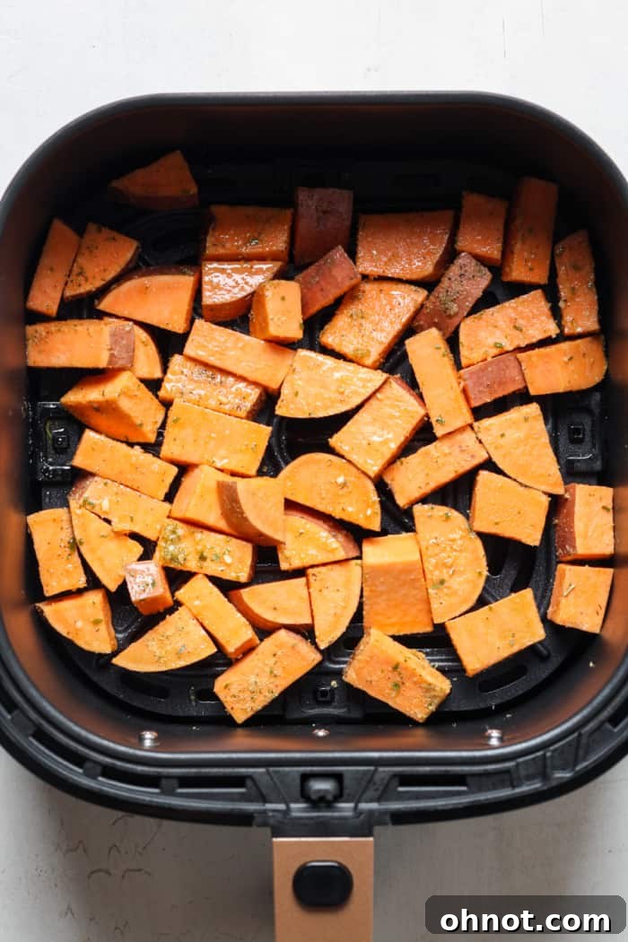 Sweet potato cubes laid out in a single layer in the air fryer basket.