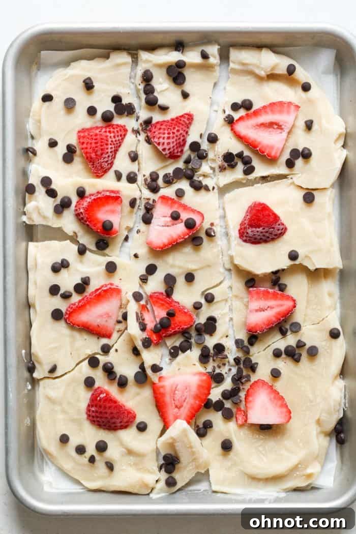 Broken pieces of frozen yogurt bark with fruit and chocolate, ready to serve.