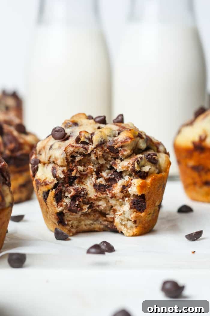 Freshly baked gluten-free banana muffins with chocolate chips and a marbled swirl, ready to be enjoyed.