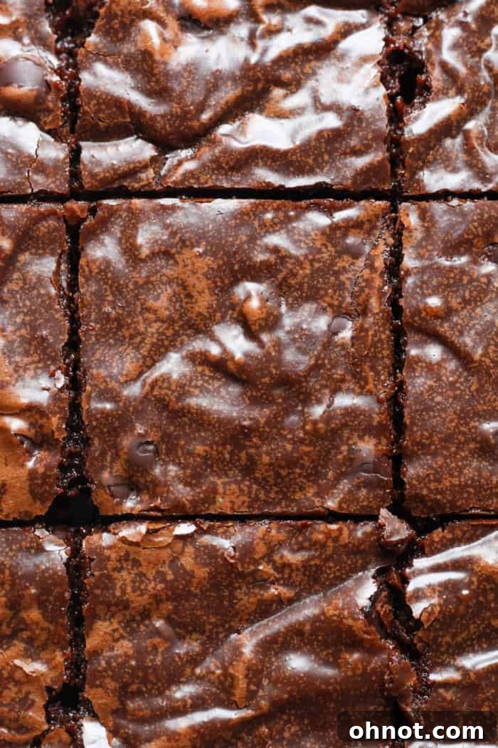 Perfectly cut squares of rich, dark dairy-free chocolate brownies, ready to be enjoyed.