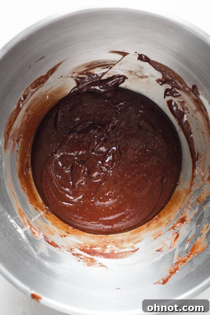 Thick, rich brownie batter after all dry ingredients have been added.