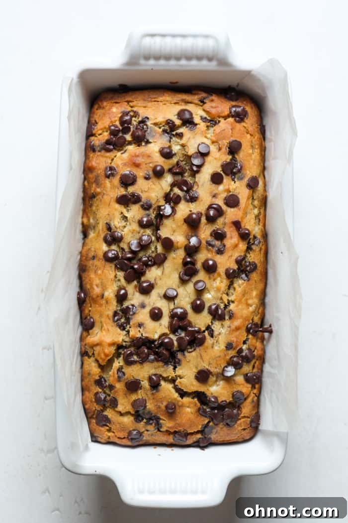 A golden-brown, perfectly baked dairy-free banana bread loaf, still in its pan, fresh from the oven.