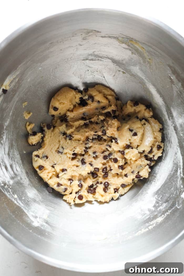 Cookie dough with mini chocolate chips folded in, creating a classic look.