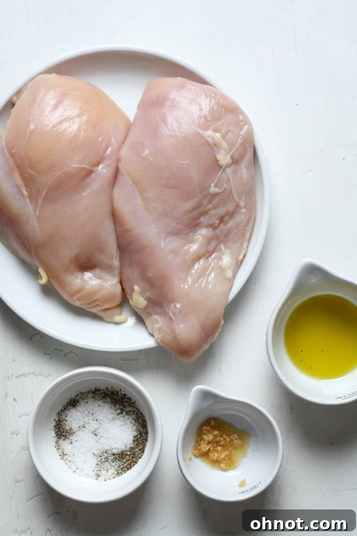 Chicken with seasonings.