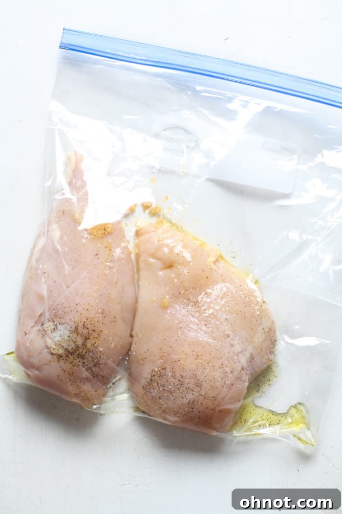 Bag with meat.