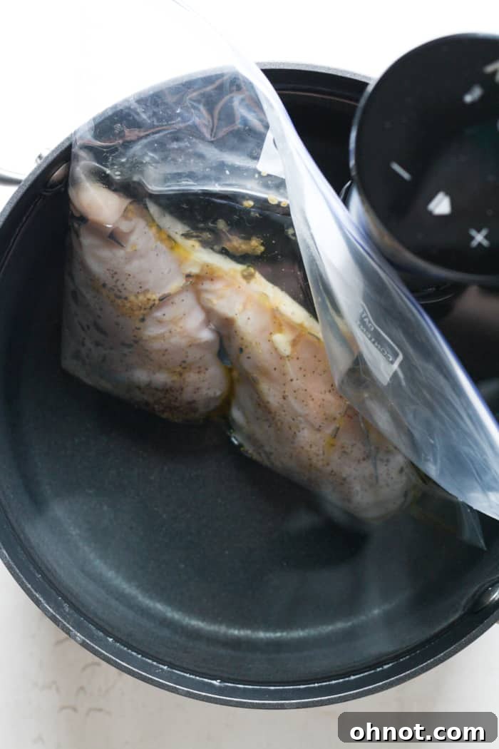 Sous vide with chicken in bag.
