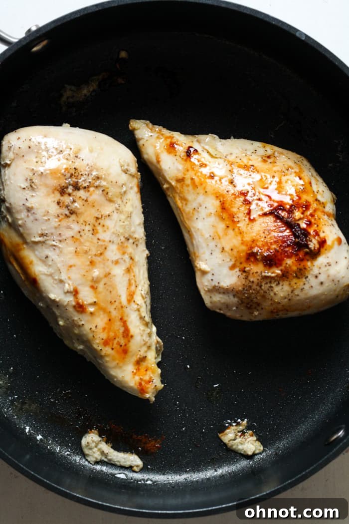 Pan seared chicken breast.