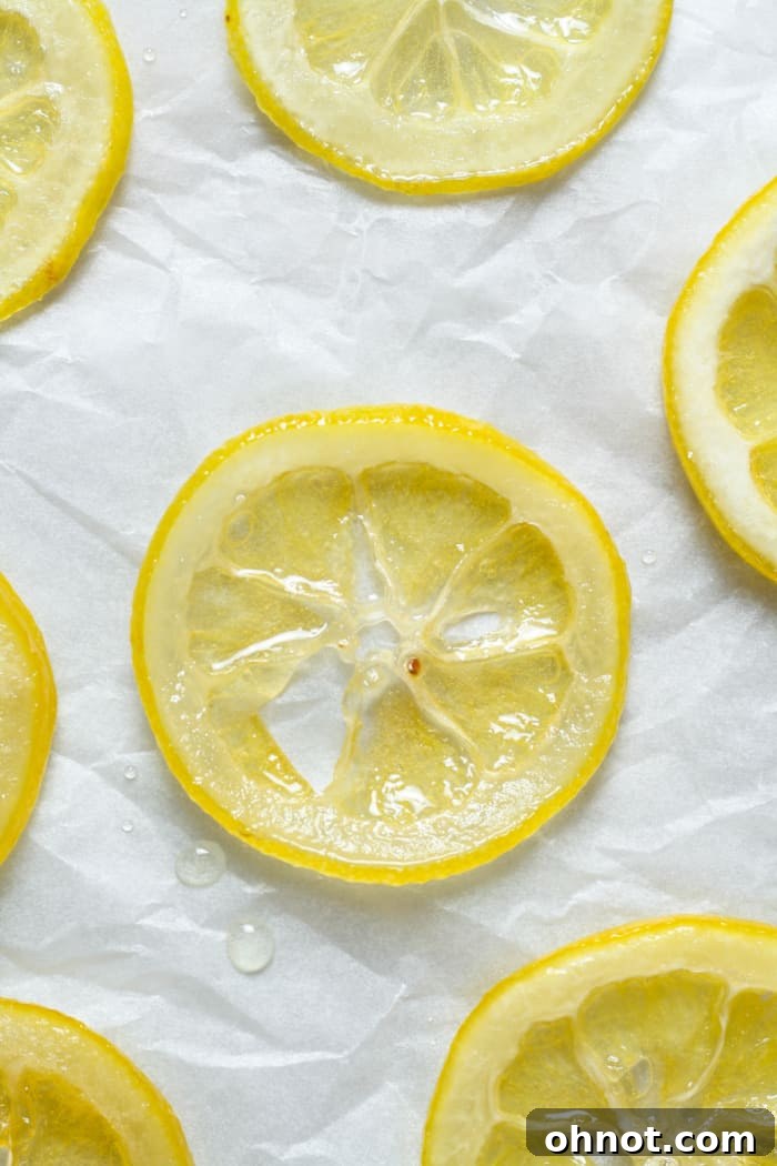 A close-up of beautifully arranged candied lemon slices on a plate, ready for serving or storage.