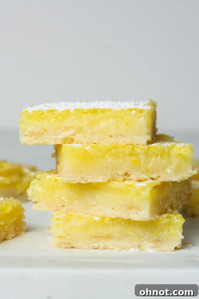 Beautifully arranged citrus bars, dusted with powdered sugar, ready for serving.