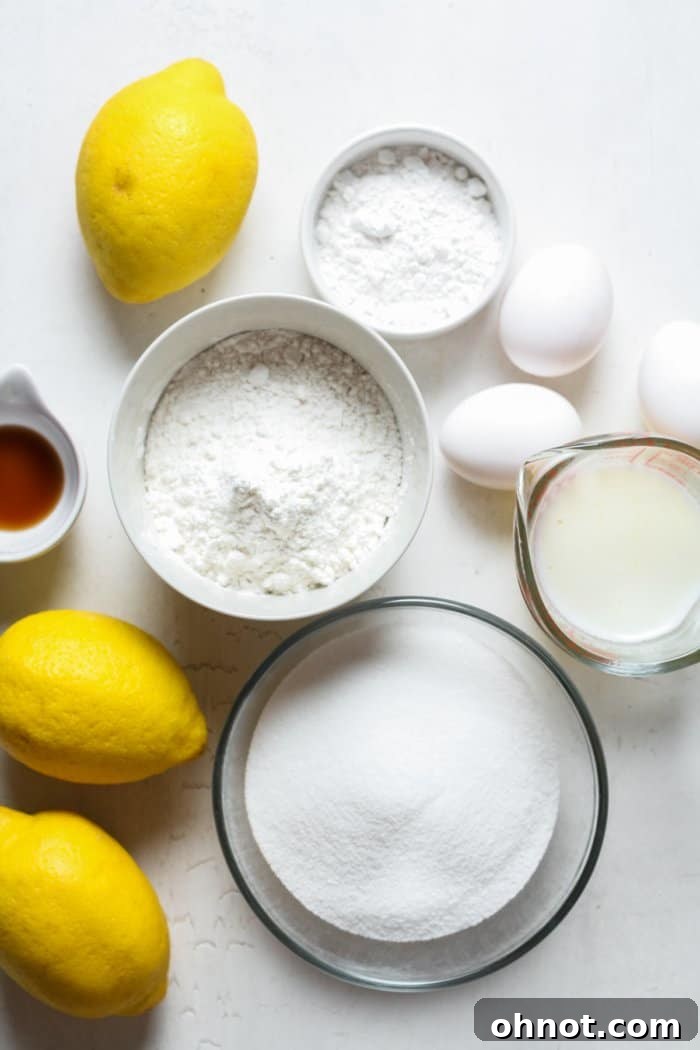 Fresh lemons and granulated sugar, key ingredients for the lemon bars.