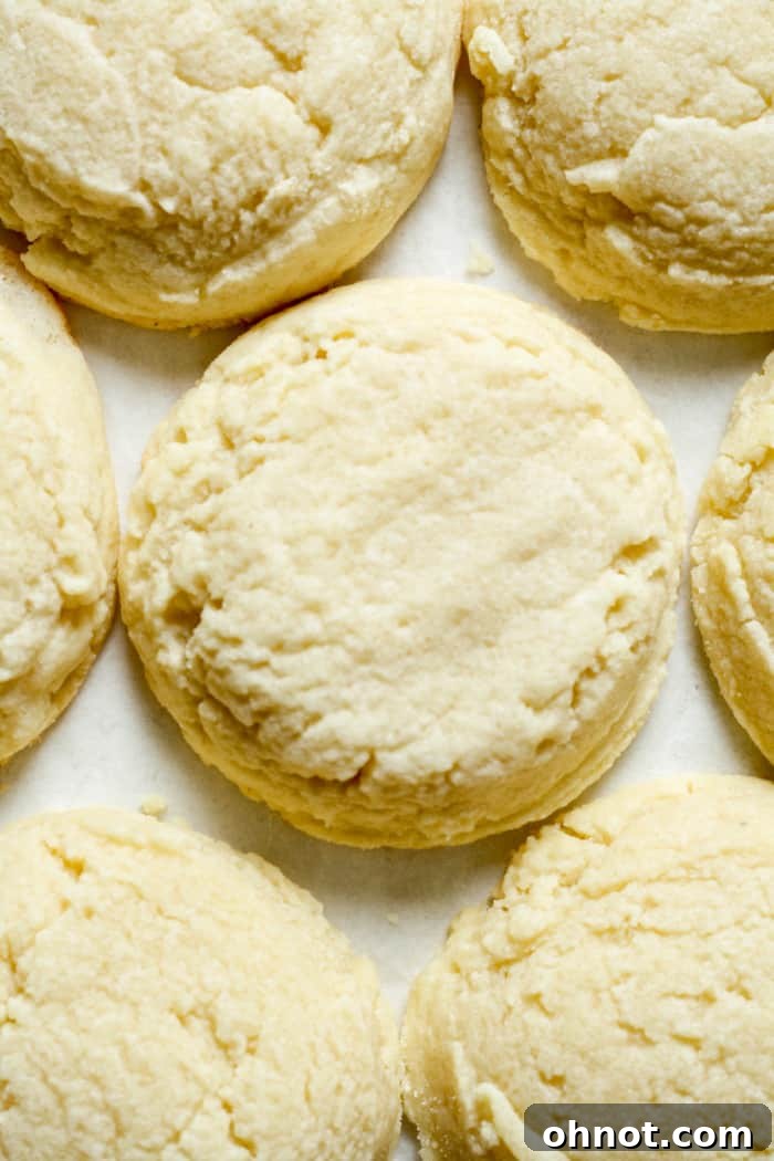 Sugar cookies on pan.
