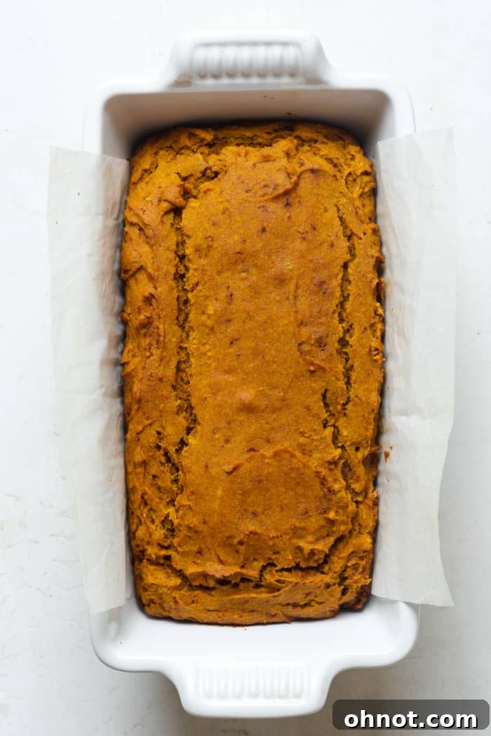 Freshly baked pumpkin loaf in its pan.
