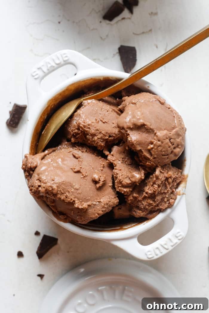 Paleo ice cream in bowl.