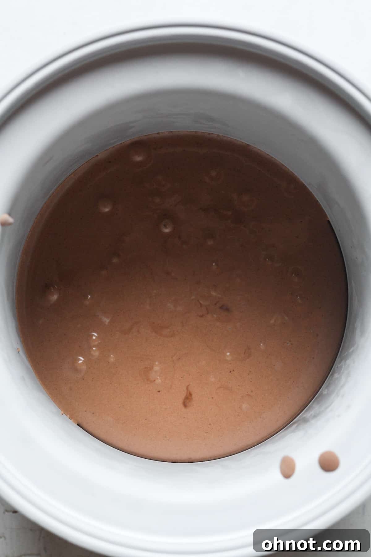 Creamy chocolate ice cream bowl.
