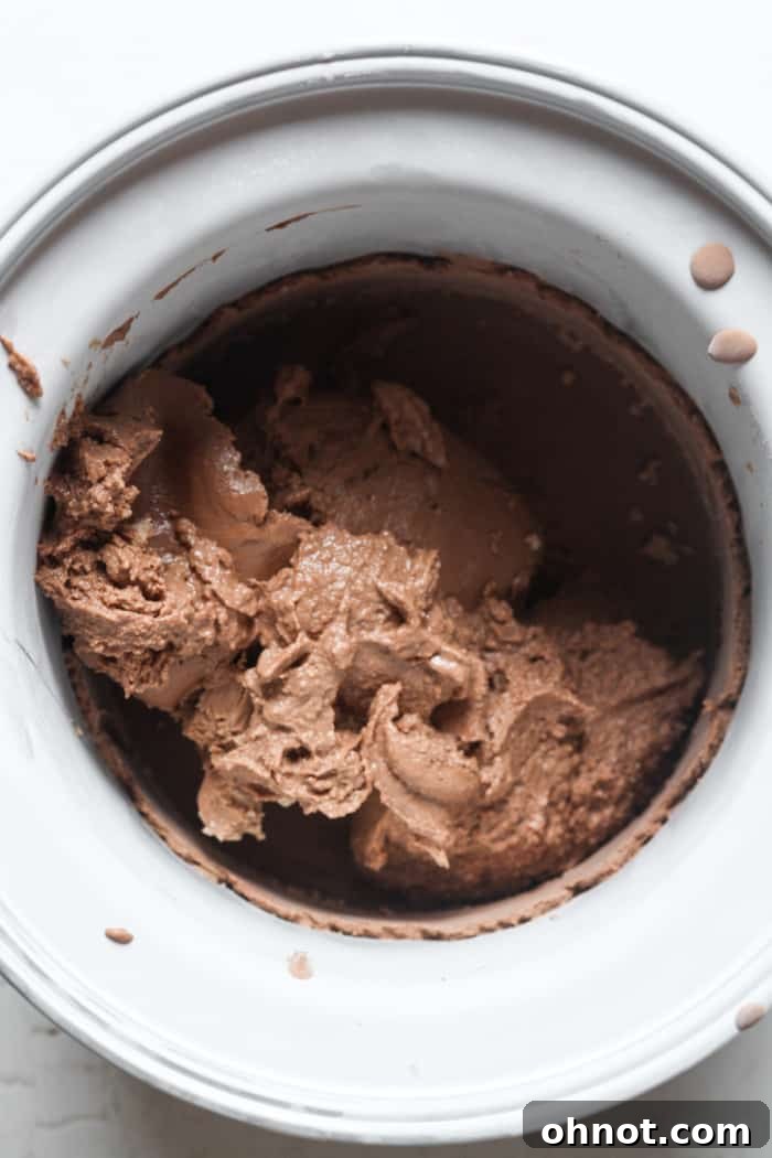 Paleo chocolate ice cream in bowl.