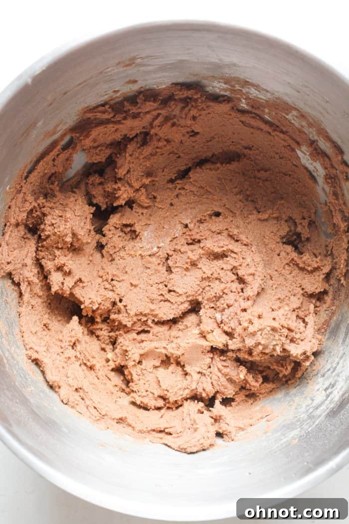 Light chocolate cookie dough after dry ingredients have been mixed in.