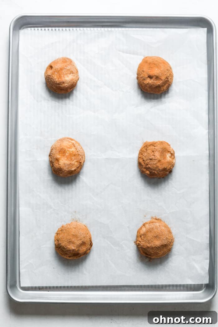 Multiple cinnamon sugar cookie dough balls neatly arranged on a parchment-lined baking sheet.