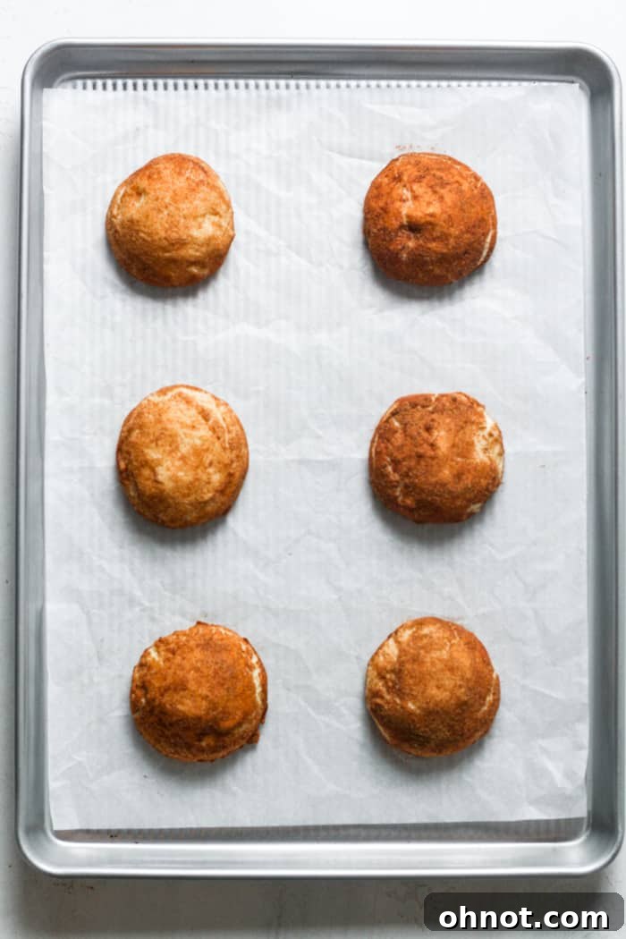 Freshly baked Snickerdoodles on a baking pan, showing their crackled tops.