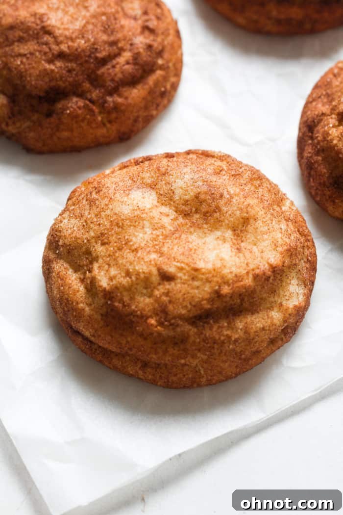 A delicious display of freshly baked Vegan cinnamon sugar cookies on a cooling rack.