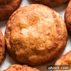 Delicious Vegan Snickerdoodle cookies.