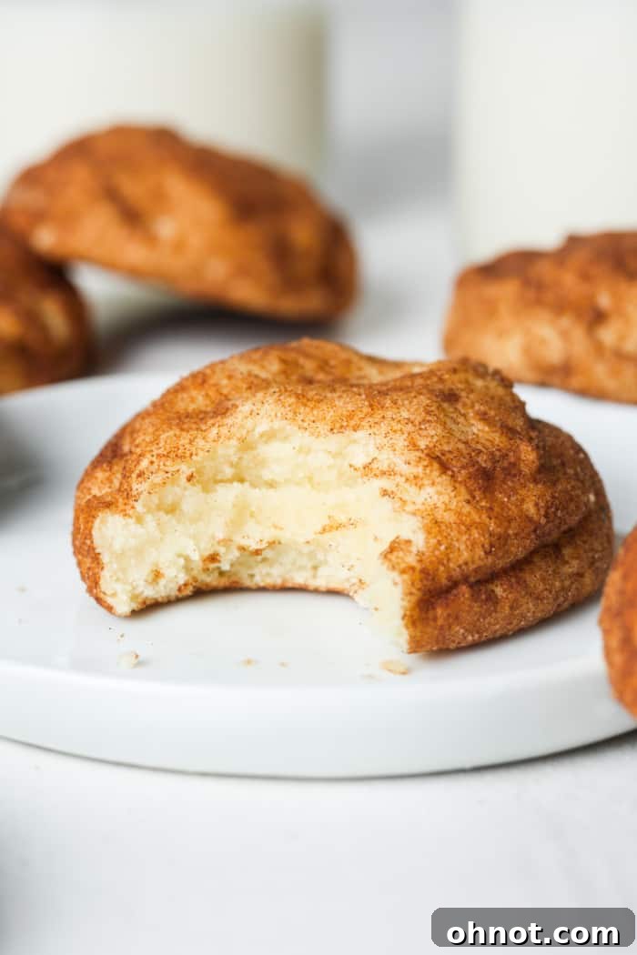 Close-up of baked Vegan Snickerdoodle cookies with crackled tops and cinnamon sugar coating.