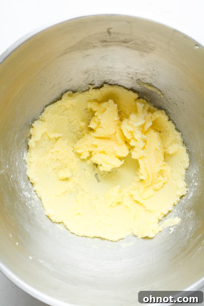 Cold vegan butter and granulated sugar being creamed together in a stand mixer bowl.