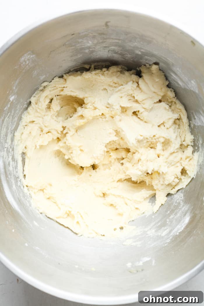 Completed Snickerdoodle cookie dough in a mixing bowl, ready for scooping.