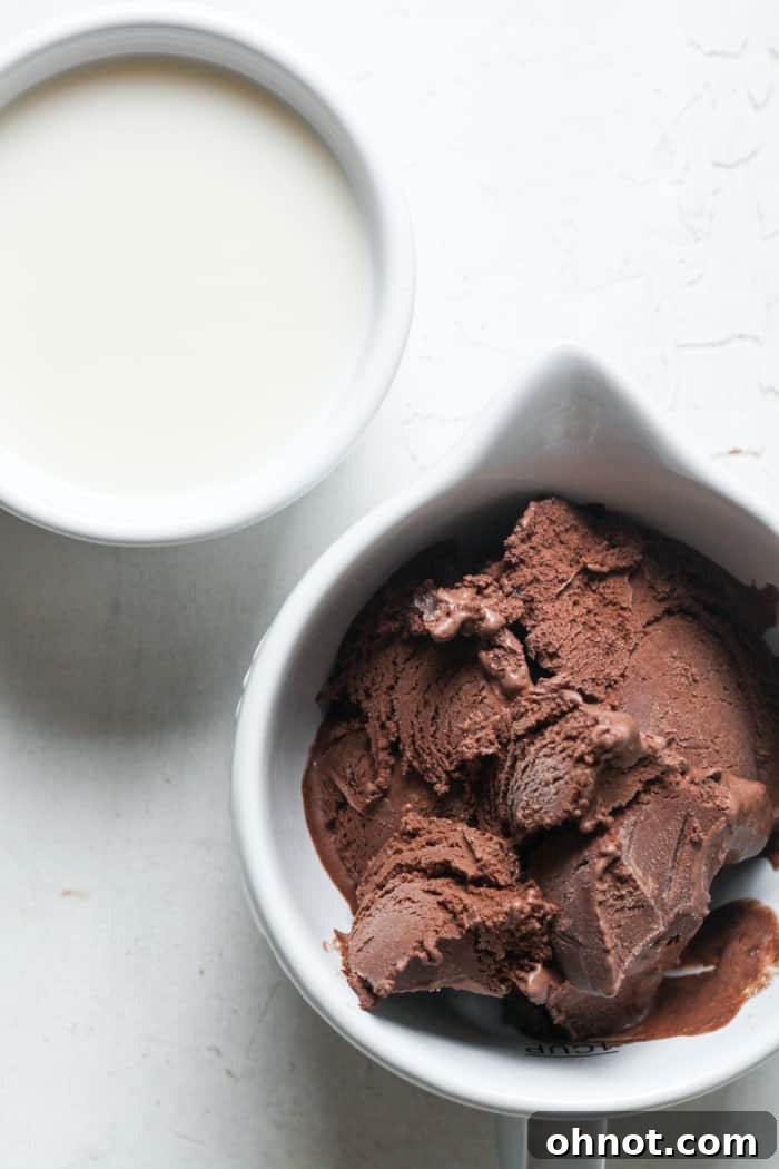 Close-up shot of vegan ice cream scoops and a pitcher of dairy-free milk, ready to be blended for a milkshake.