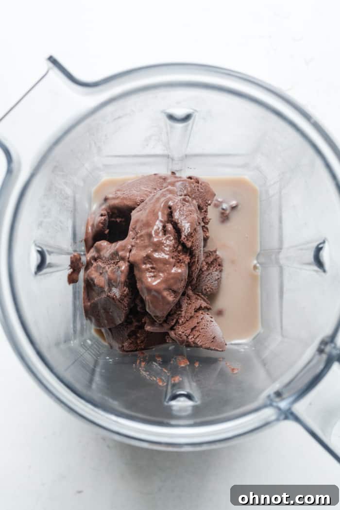 Vegan ice cream scoops being placed into a blender with dairy-free milk.