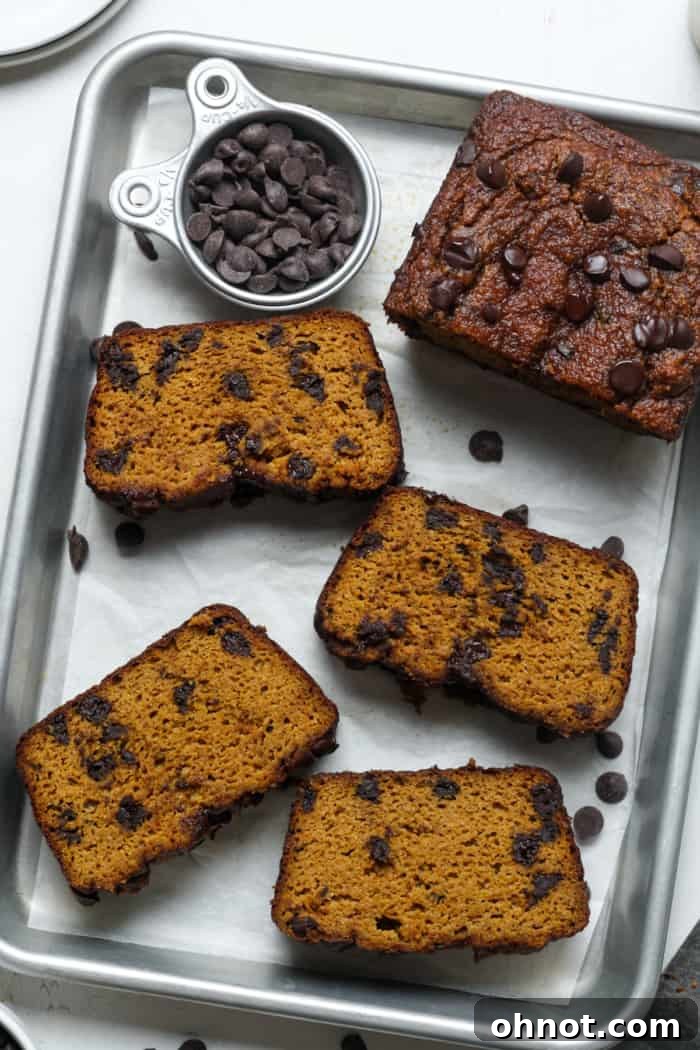 A stunning close-up of a slice of almond flour pumpkin bread, rich with chocolate chips, showcasing its moist and tender interior.
